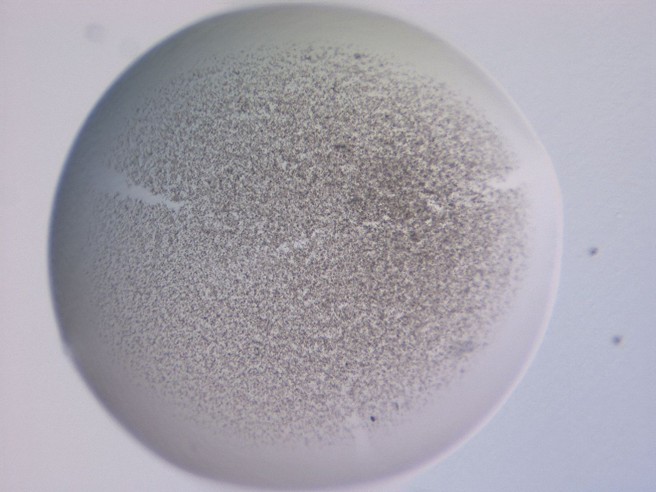 04ge_C3_ImagerDefaults_3.jpg