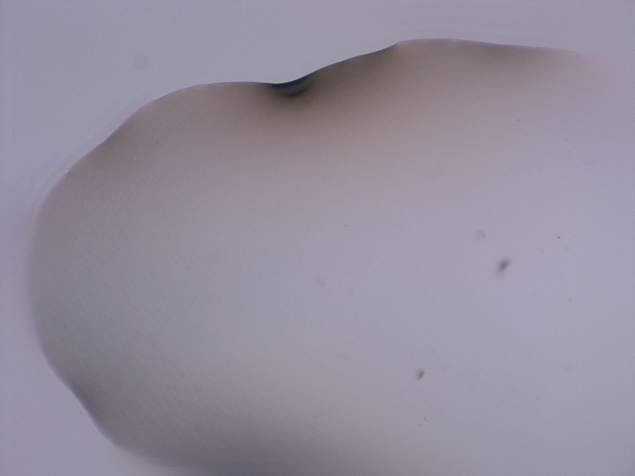 04ge_C5_ImagerDefaults_0.jpg