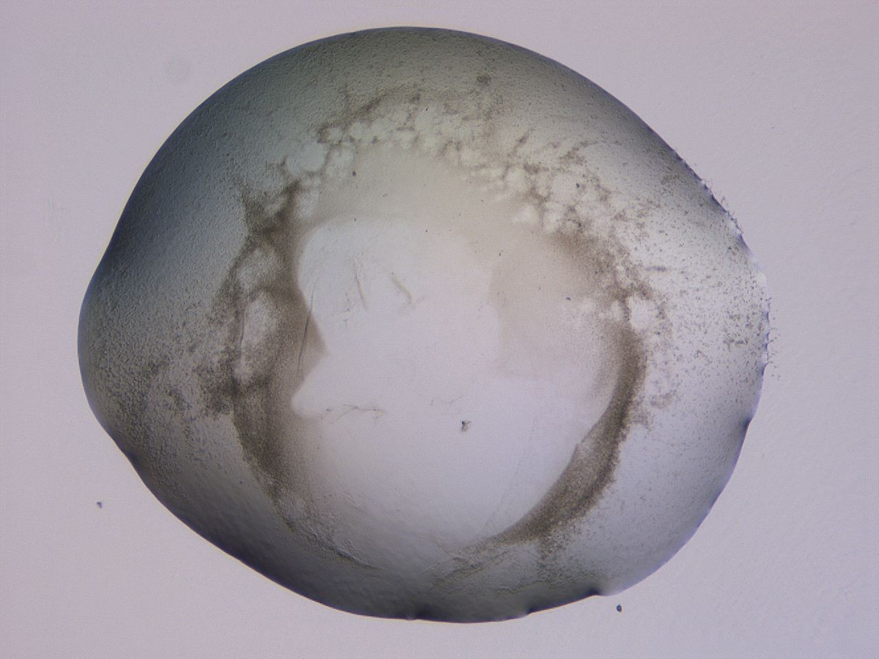 04ge_C6_ImagerDefaults_3.jpg