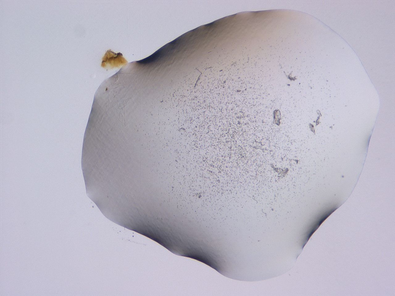04ge_C8_ImagerDefaults_3.jpg