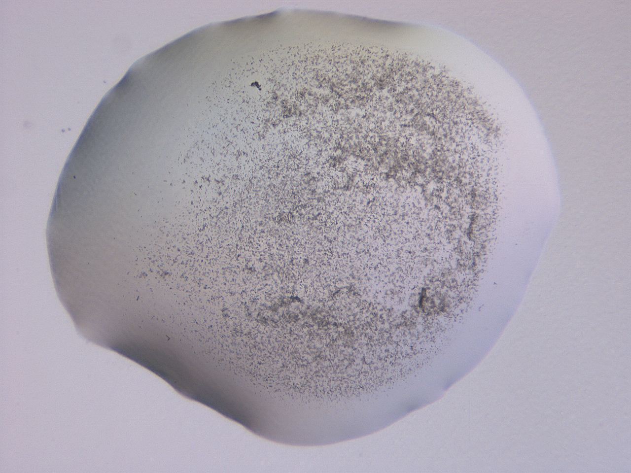 04ge_C10_ImagerDefaults_3.jpg