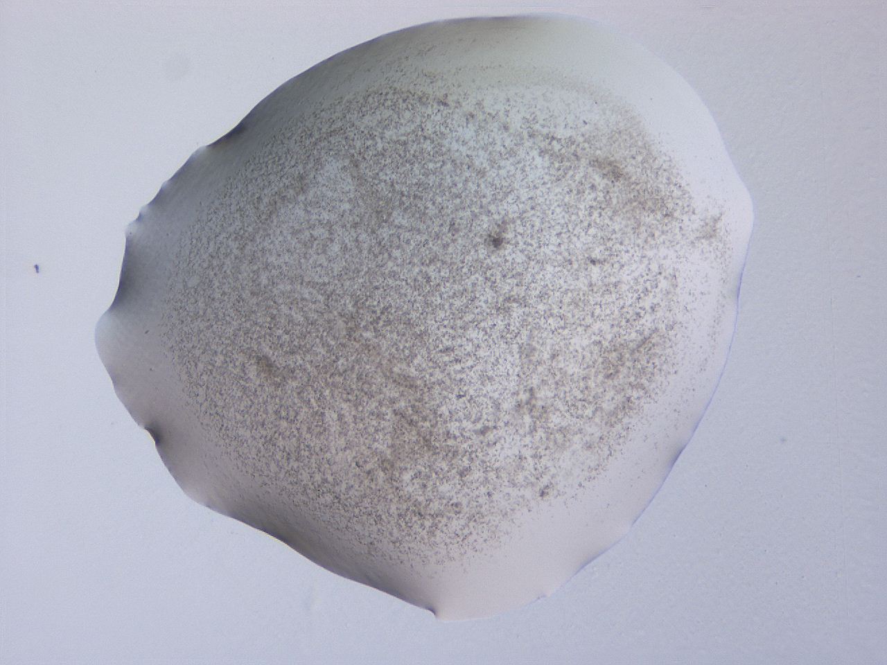 04ge_C11_ImagerDefaults_3.jpg