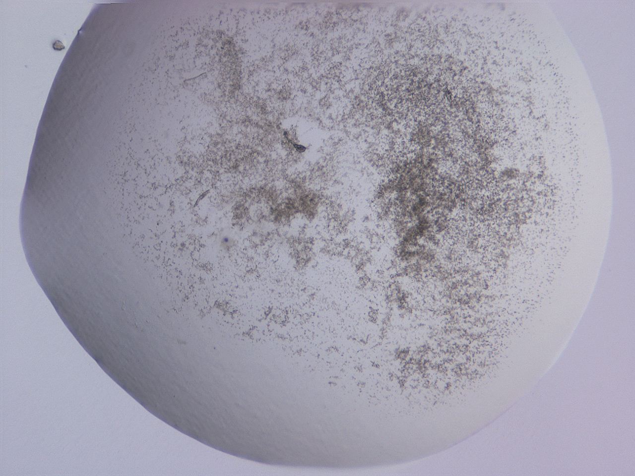 04ge_C12_ImagerDefaults_3.jpg