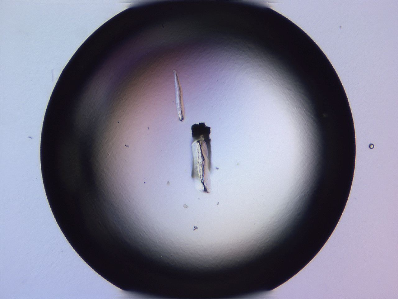 04ge_D1_ImagerDefaults_0.jpg