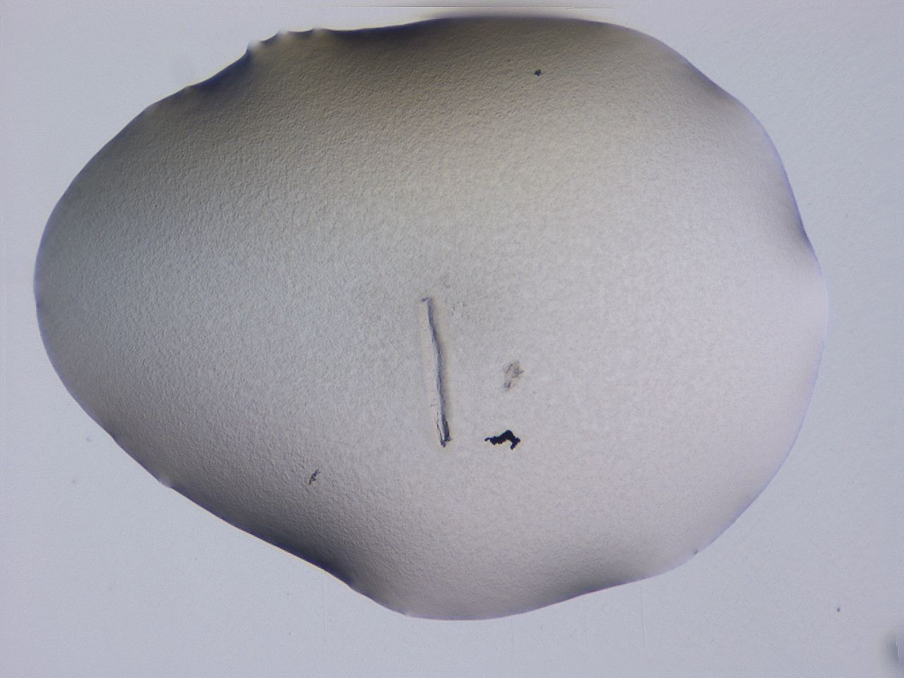 04ge_D7_ImagerDefaults_0.jpg
