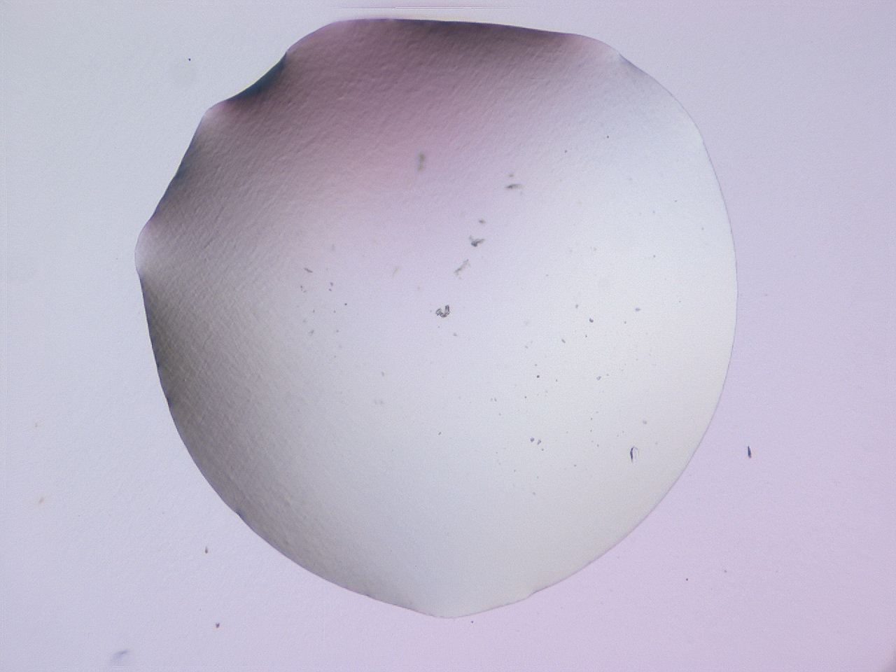 04ge_D8_ImagerDefaults_0.jpg