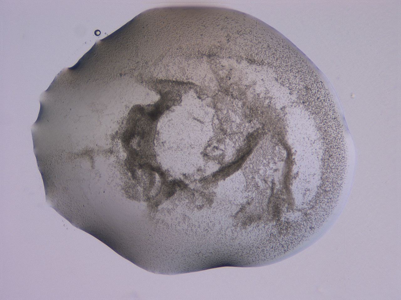 04ge_D10_ImagerDefaults_3.jpg
