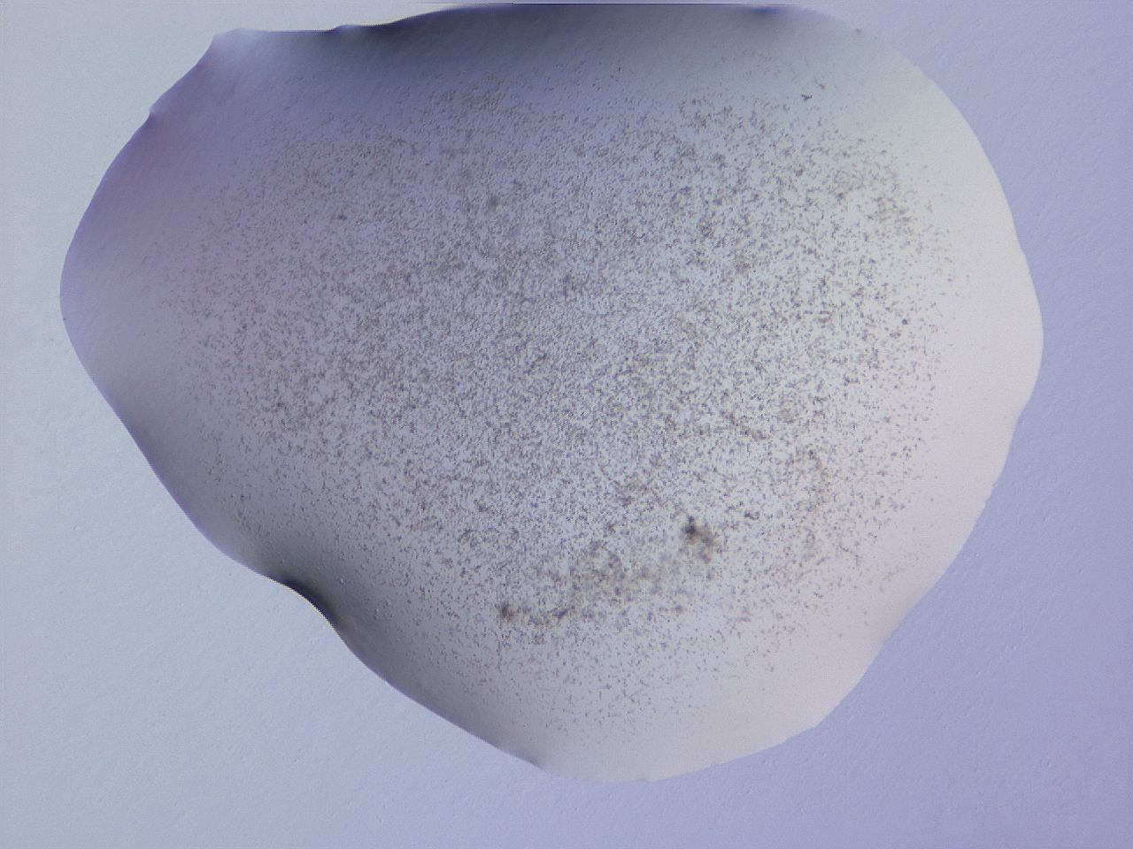 04ge_D12_ImagerDefaults_3.jpg