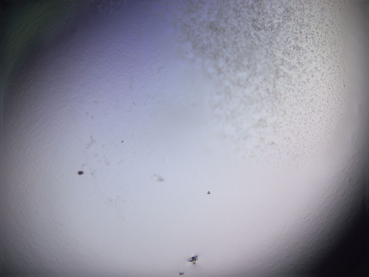 04ge_E4_ImagerDefaults_3.jpg