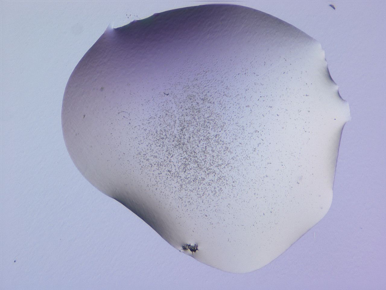 04ge_E5_ImagerDefaults_3.jpg