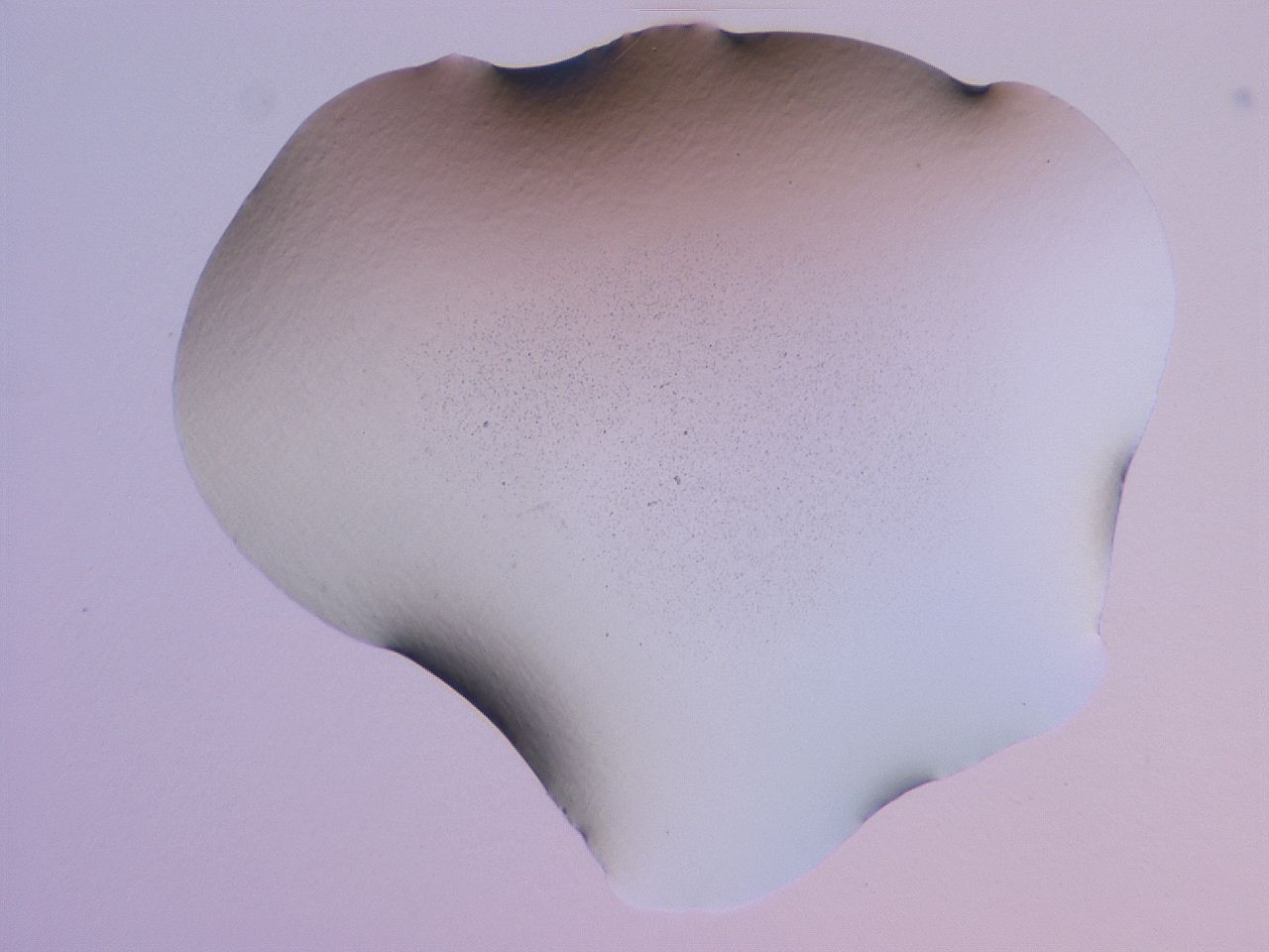04ge_E6_ImagerDefaults_0.jpg