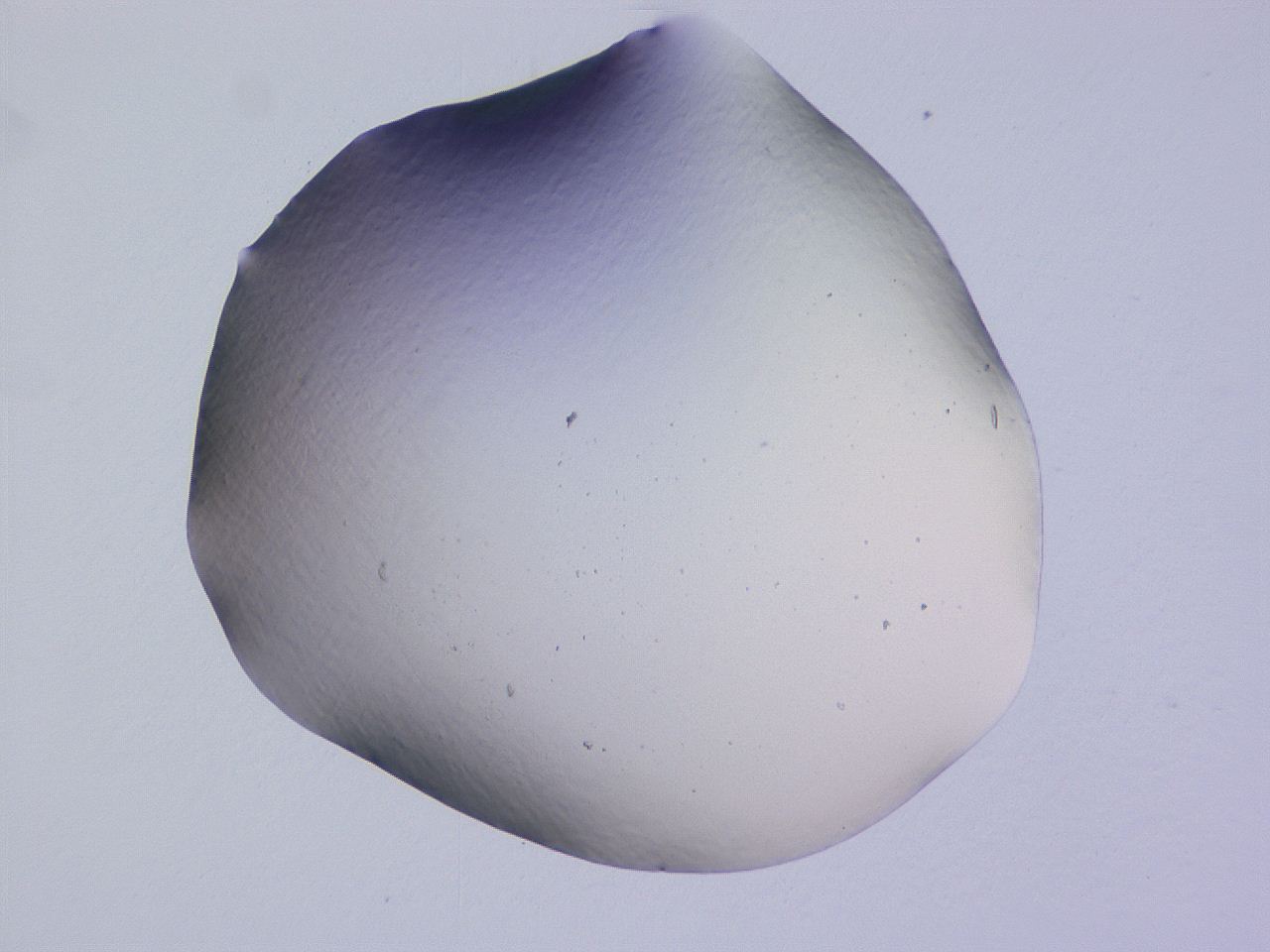 04ge_E8_ImagerDefaults_0.jpg