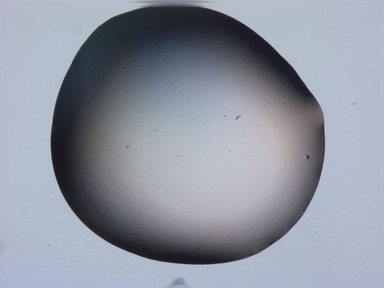 04ge_G5_ImagerDefaults_0.jpg