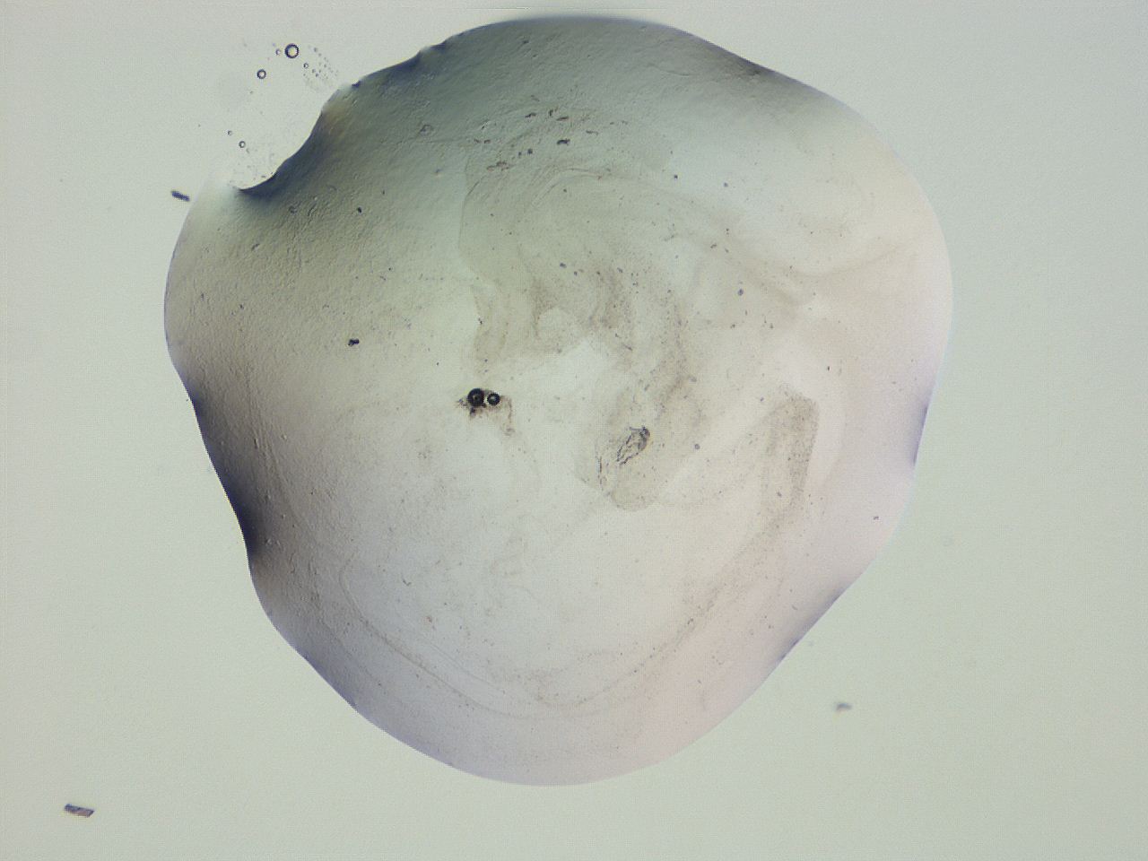 04ge_G10_ImagerDefaults_3.jpg