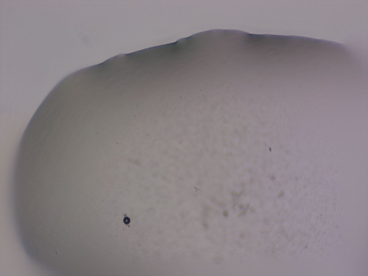 04ge_G12_ImagerDefaults_3.jpg