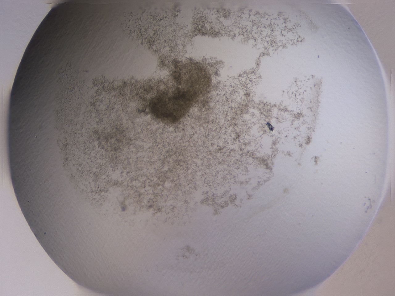 04ge_H4_ImagerDefaults_3.jpg