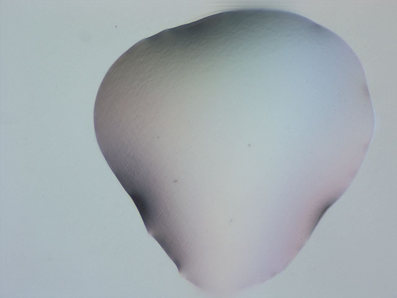 04ge_H11_ImagerDefaults_0.jpg