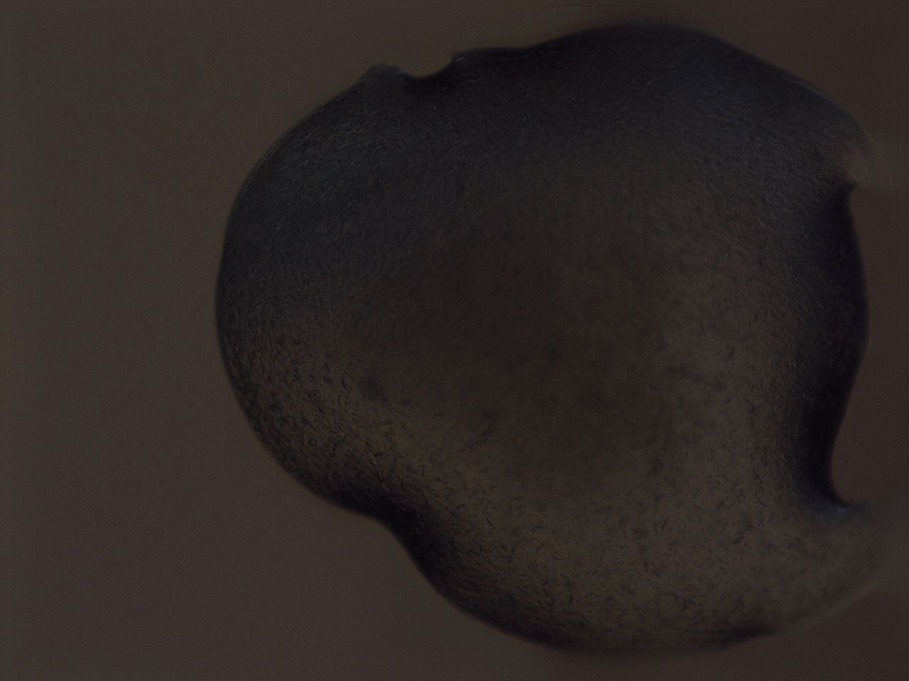 04gf_A1_ImagerDefaults_9.jpg