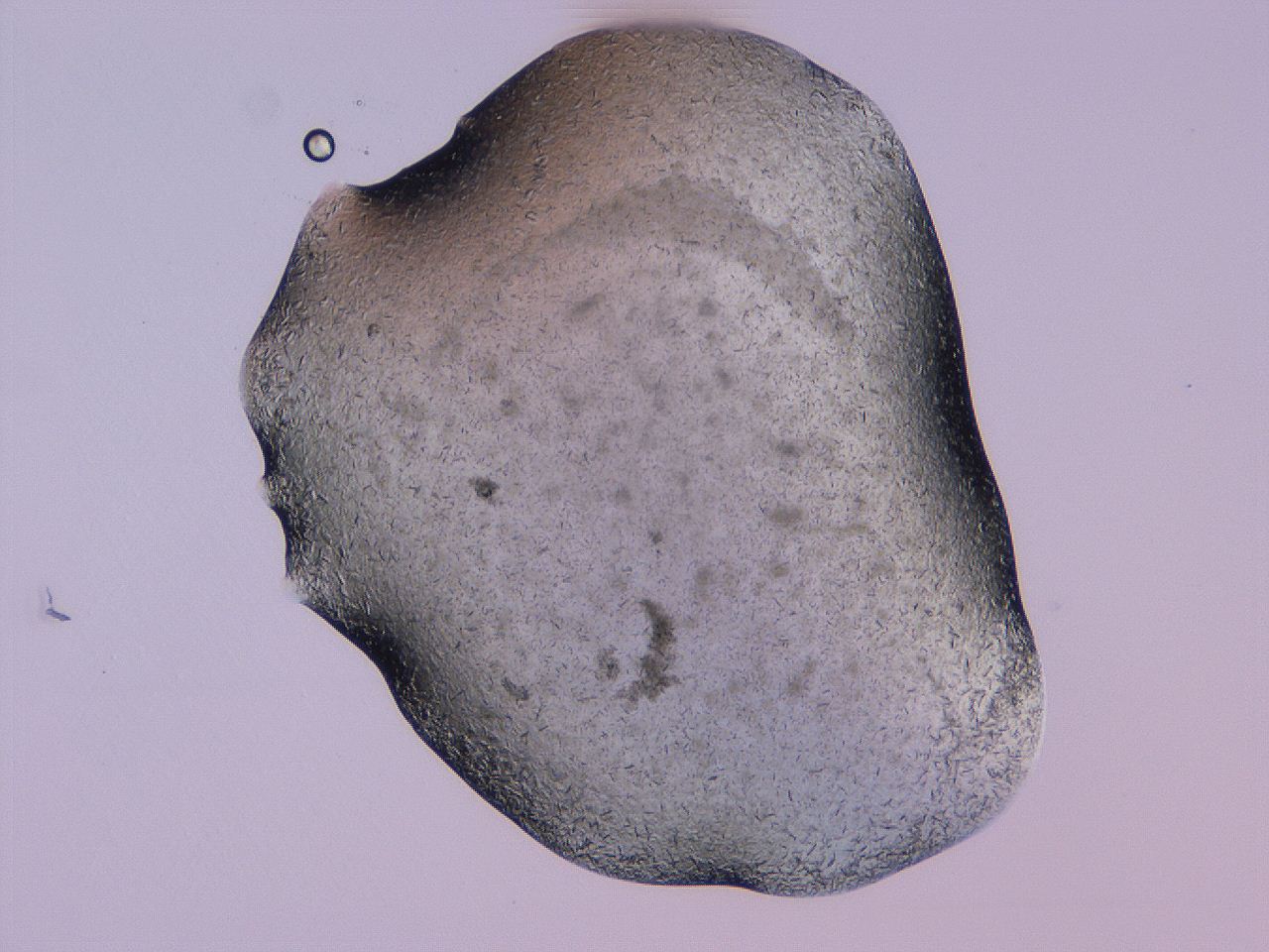 04gf_D6_ImagerDefaults_9.jpg