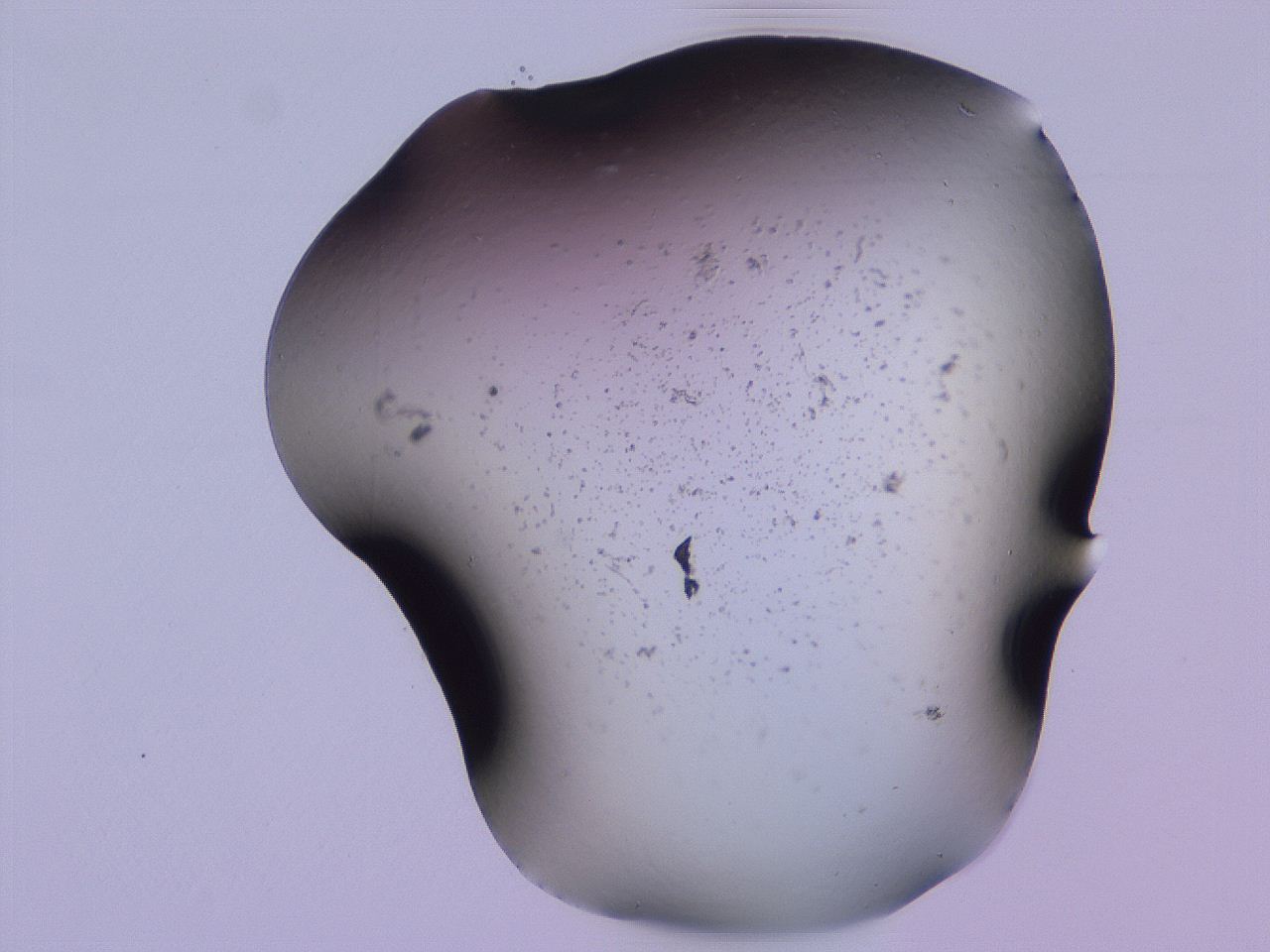 04gf_D10_ImagerDefaults_3.jpg