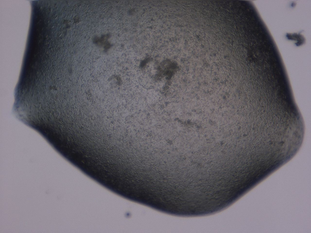 04gf_E12_ImagerDefaults_8.jpg