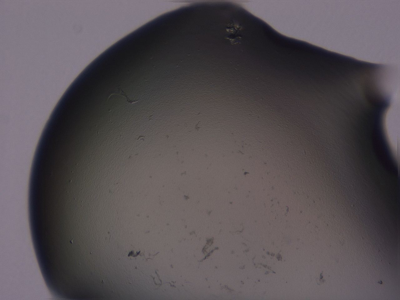 04gf_G3_ImagerDefaults_3.jpg