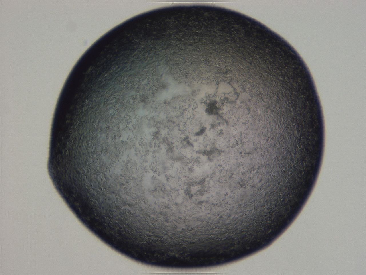 04gf_G10_ImagerDefaults_9.jpg
