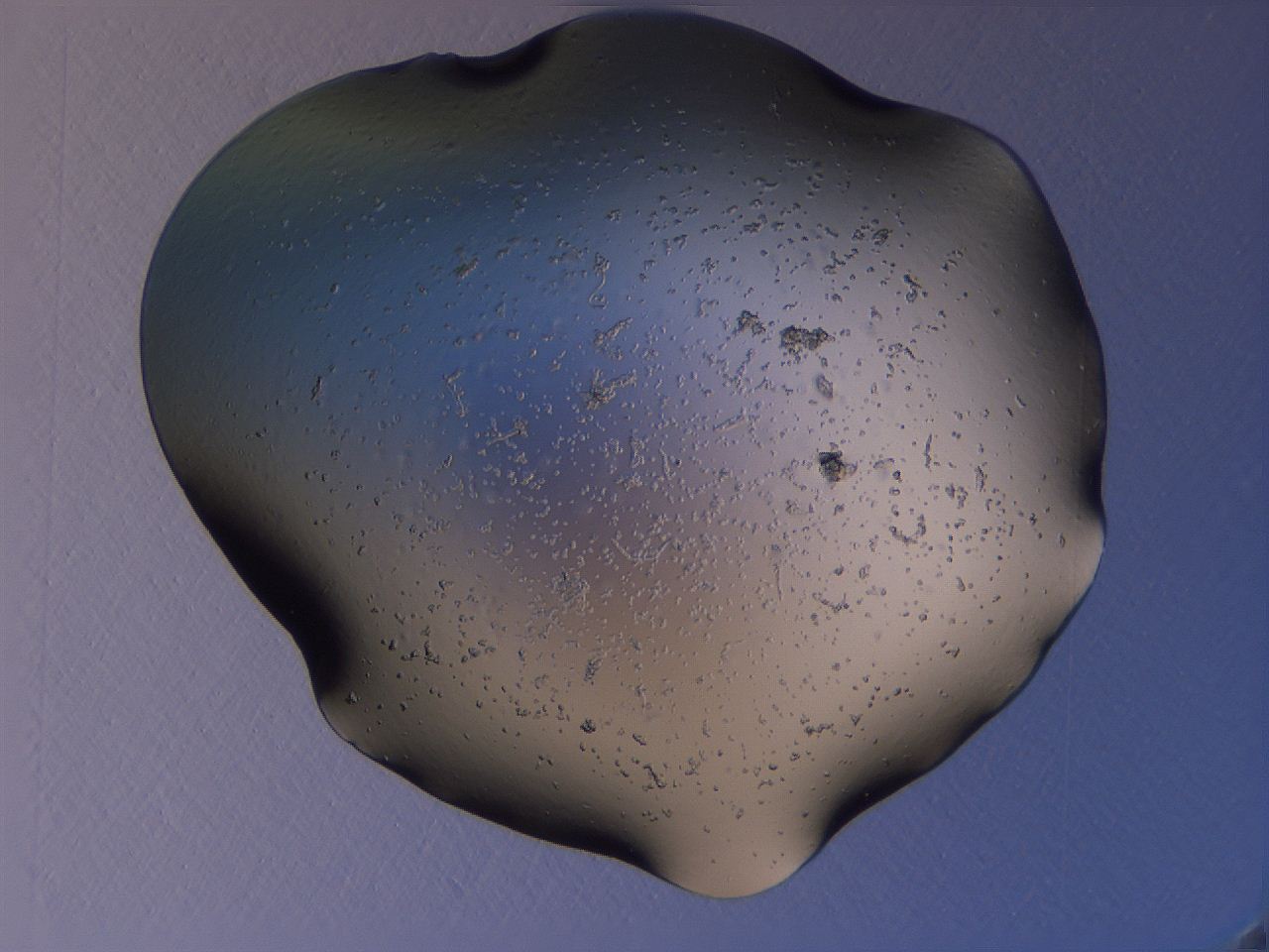 04gg_A4_ImagerDefaults_0.jpg