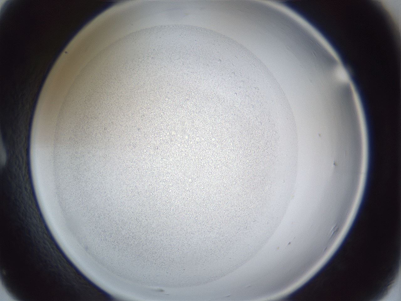 folderID966_plateID966_batchID1801_wellNum7_profileID1_d1_r37668_ef.jpg