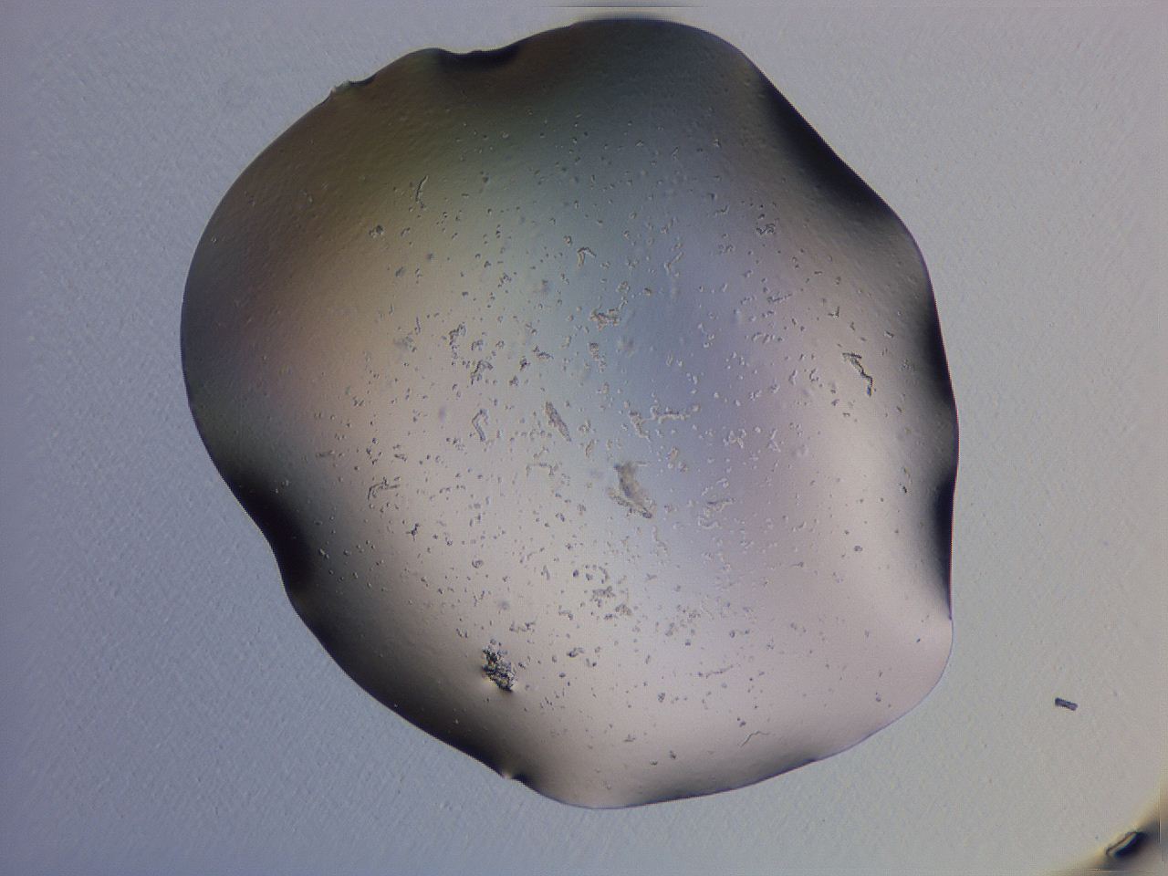 04gg_A6_ImagerDefaults_0.jpg