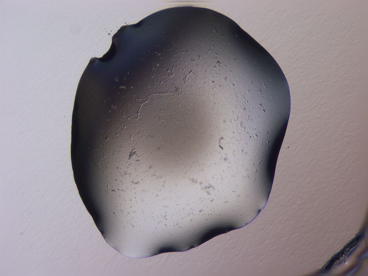 04gg_A7_ImagerDefaults_0.jpg
