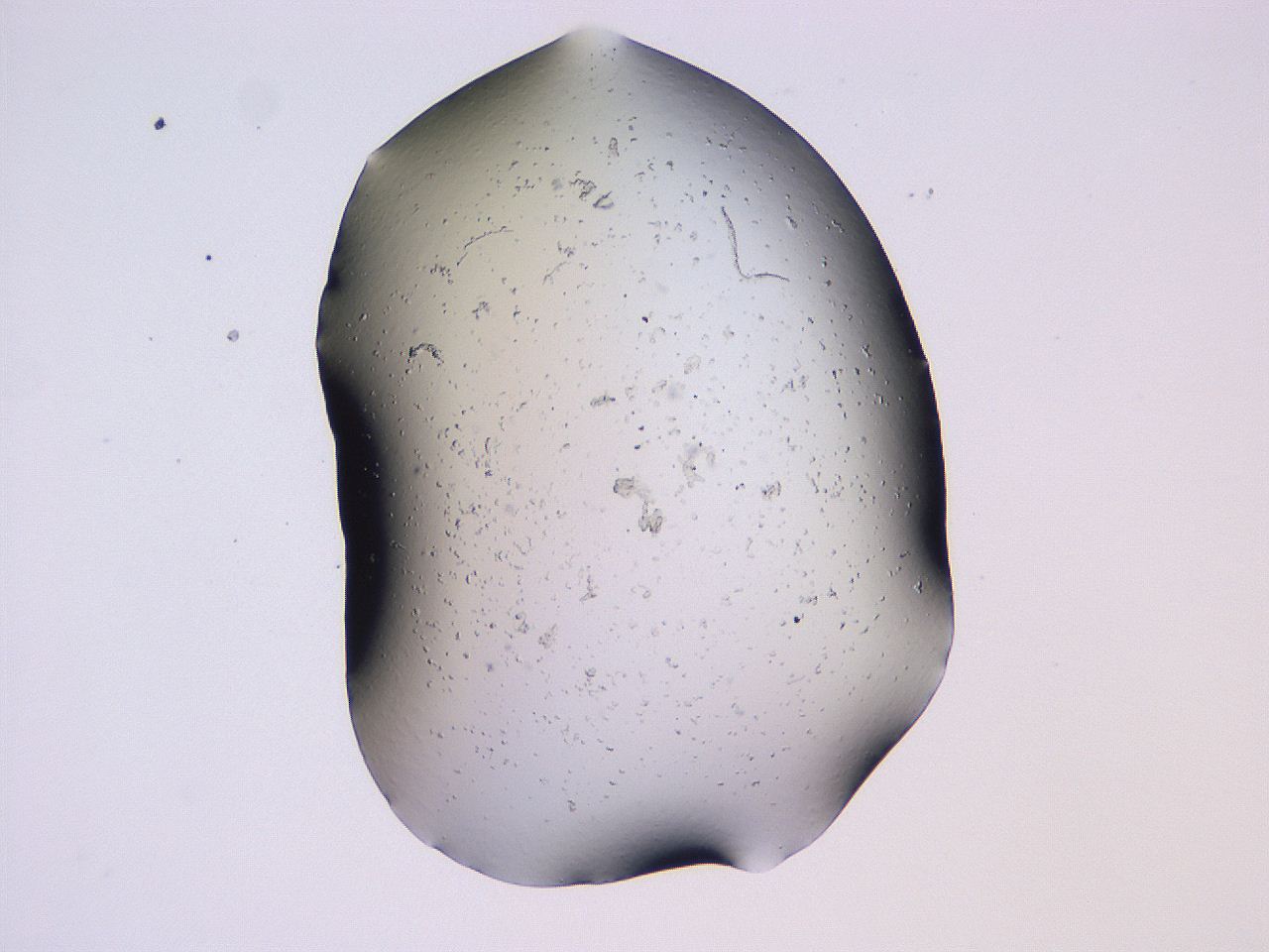 04gg_B12_ImagerDefaults_0.jpg