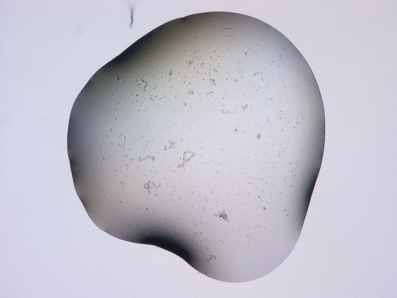 04gg_C11_ImagerDefaults_0.jpg