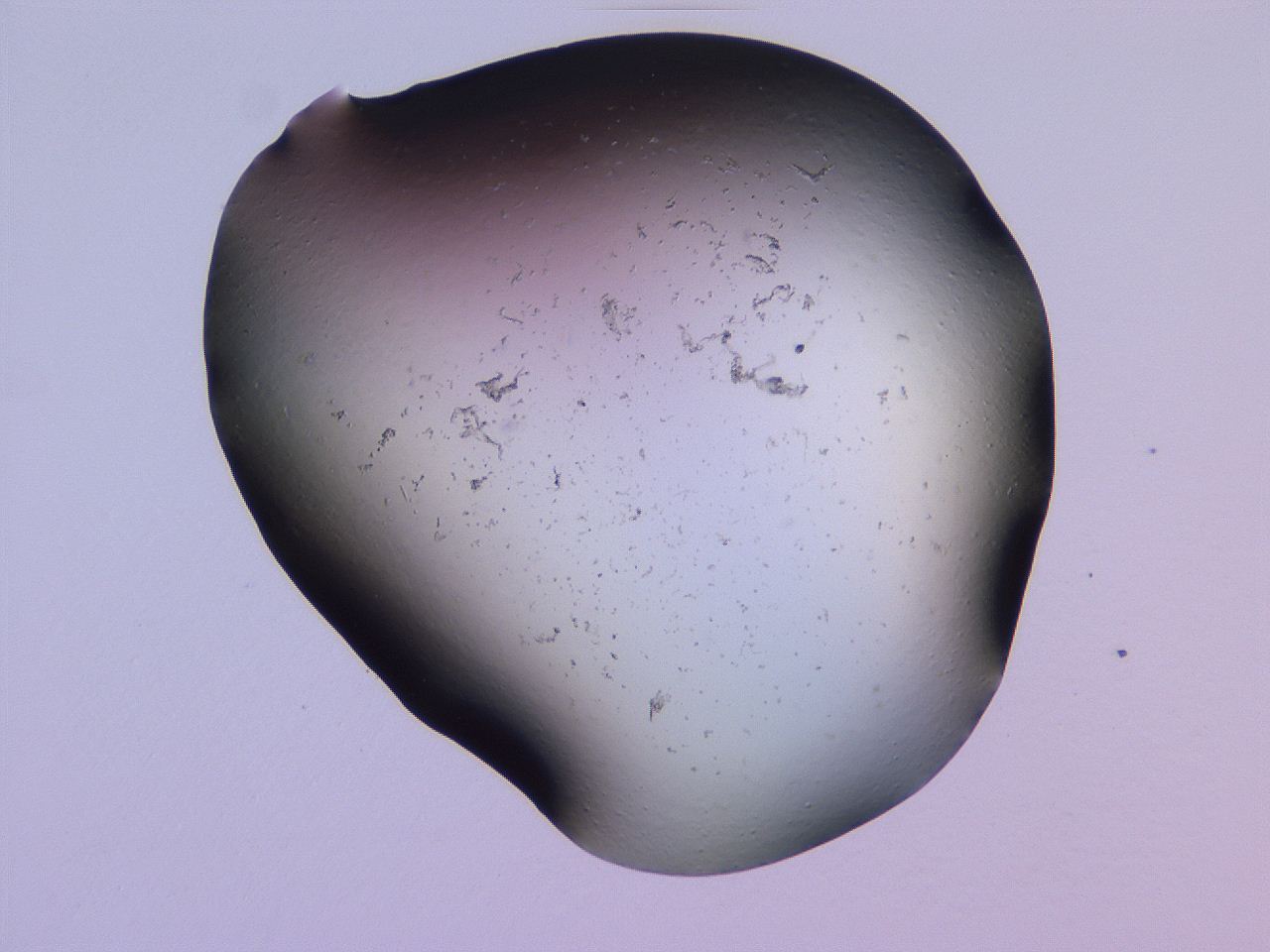 04gg_D10_ImagerDefaults_0.jpg