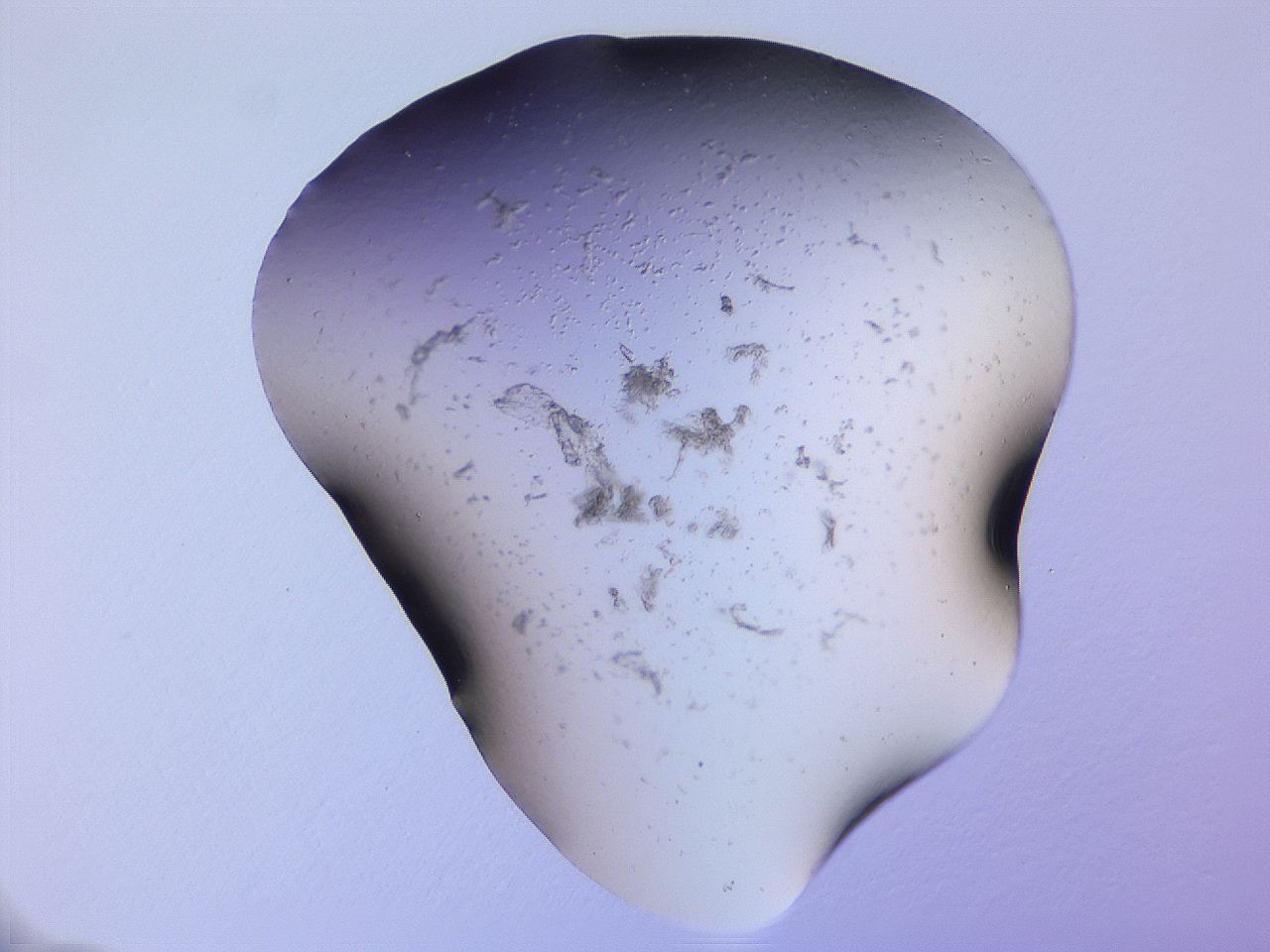 04gg_E10_ImagerDefaults_0.jpg