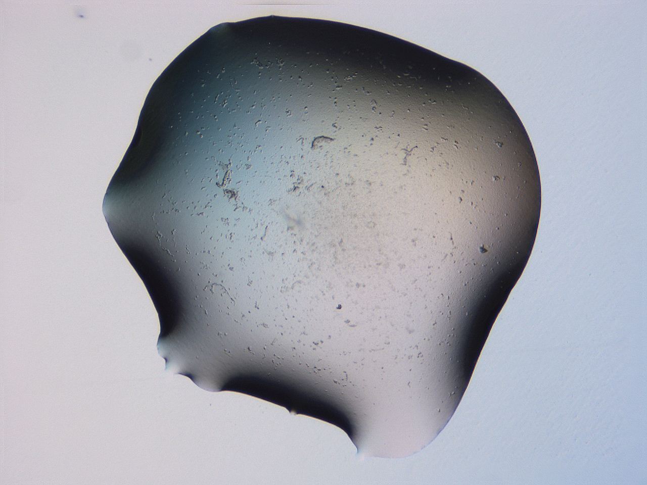 04gg_F8_ImagerDefaults_0.jpg