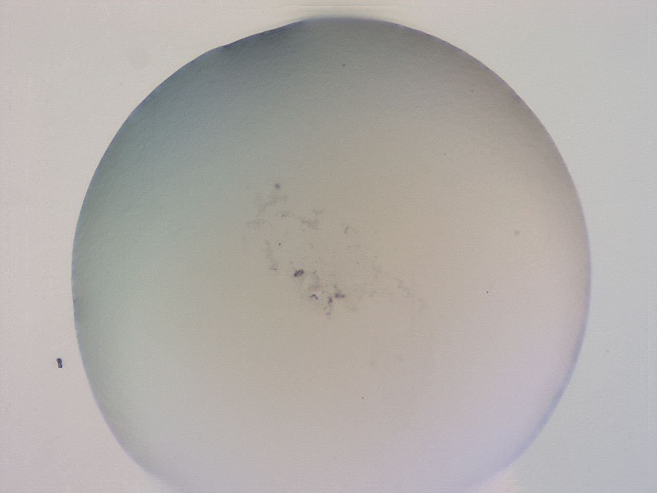 04gg_F11_ImagerDefaults_0.jpg