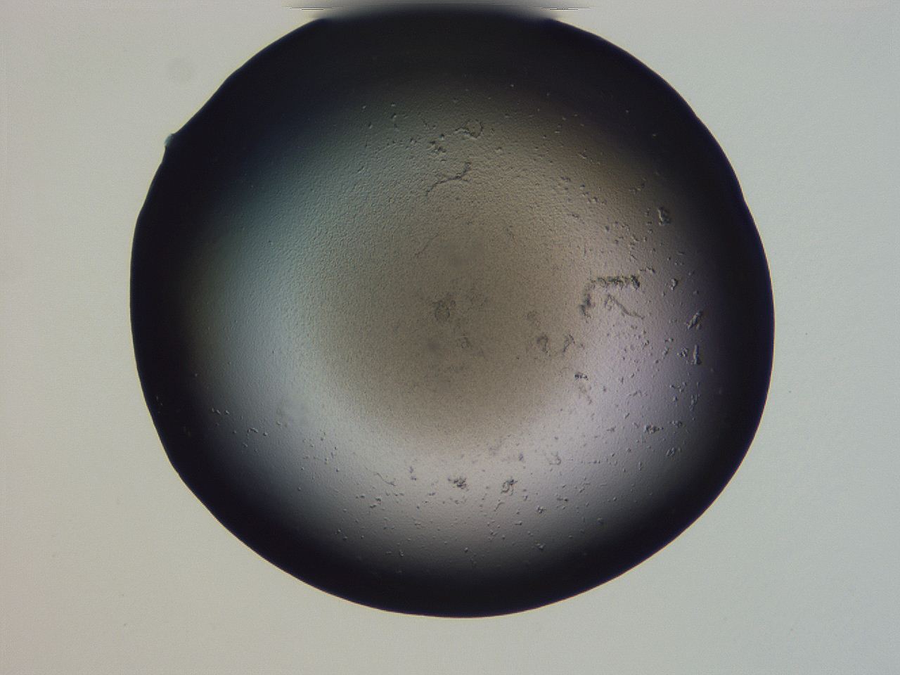 04gg_G10_ImagerDefaults_0.jpg