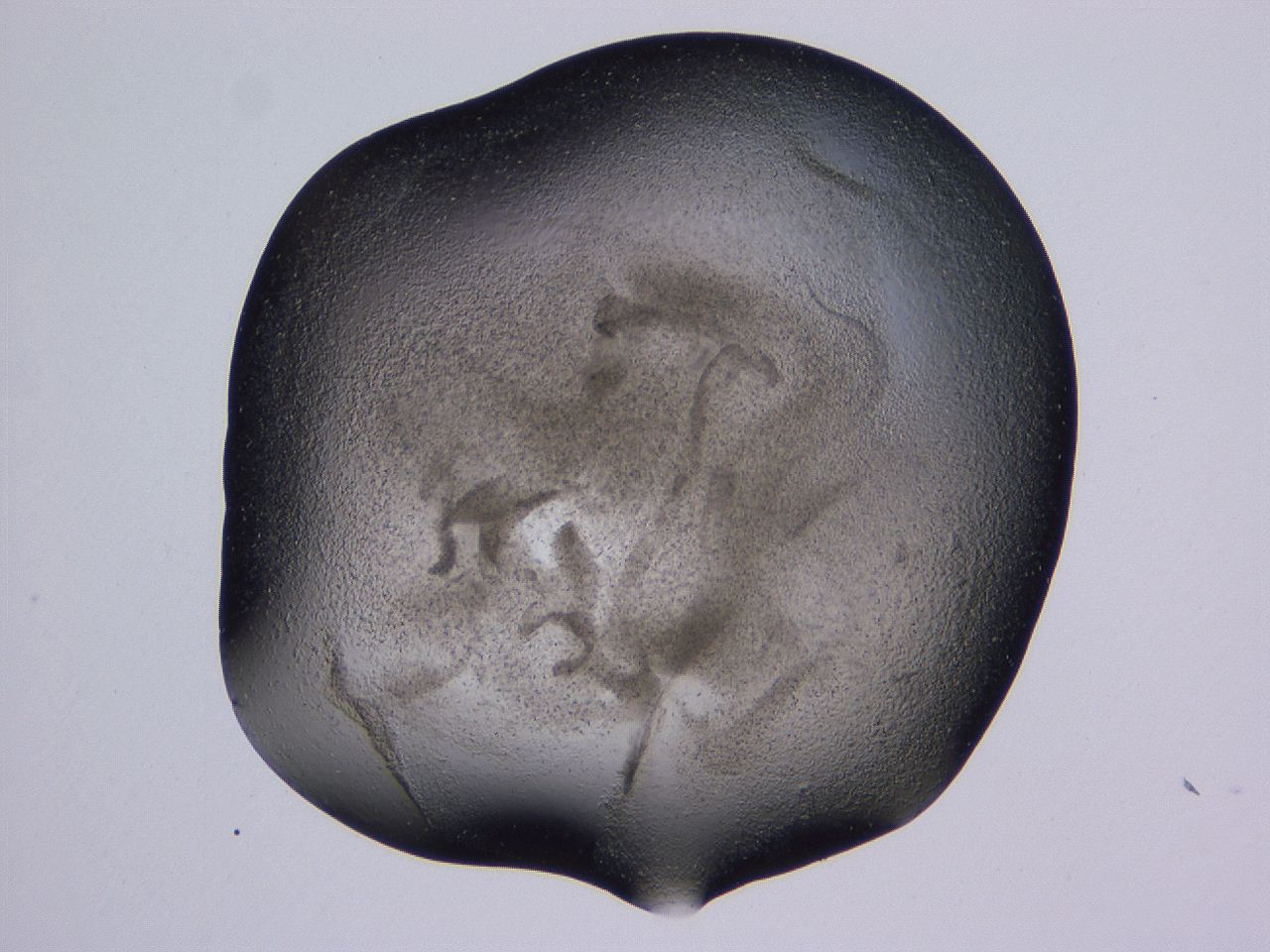04gh_A12_ImagerDefaults_3.jpg