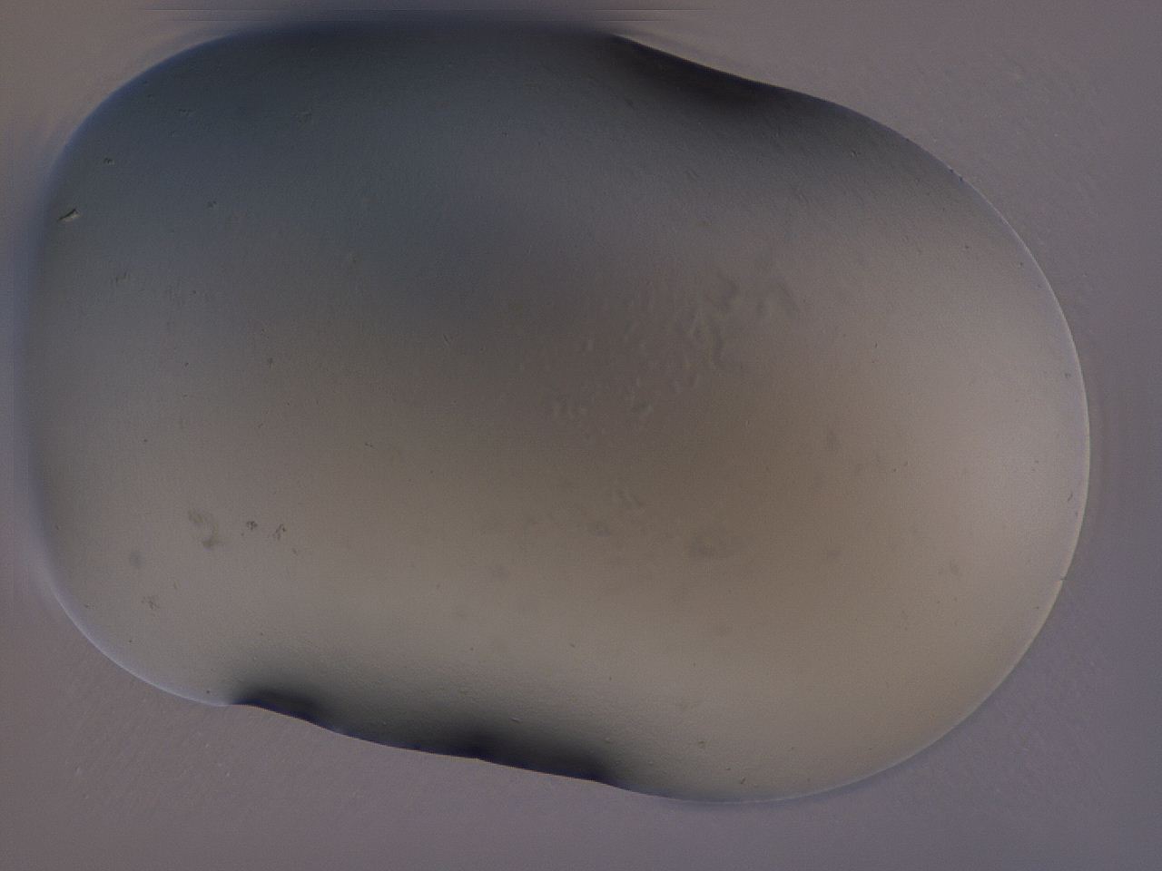 04gh_A10_ImagerDefaults_0.jpg