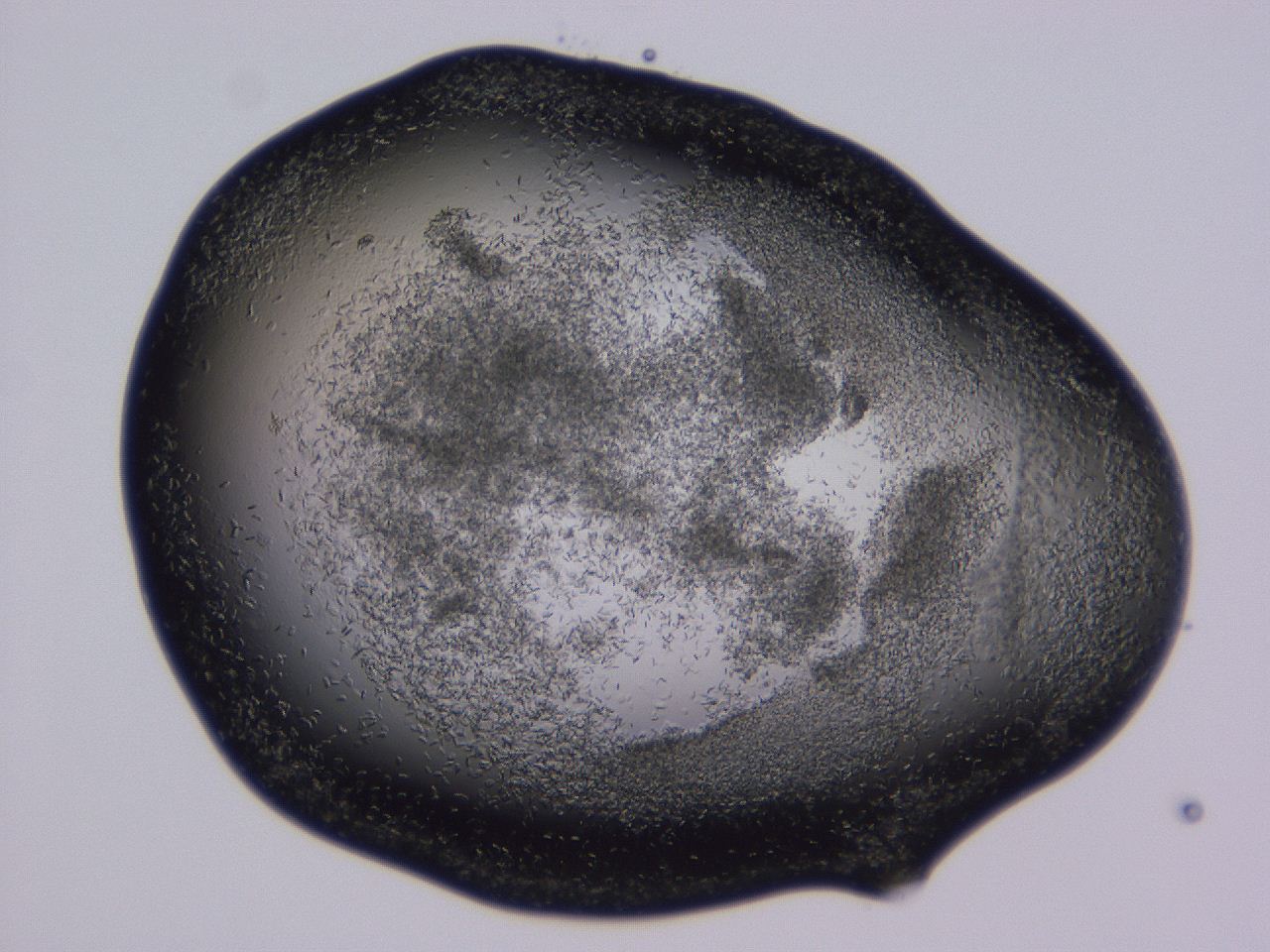 04gh_B12_ImagerDefaults_9.jpg