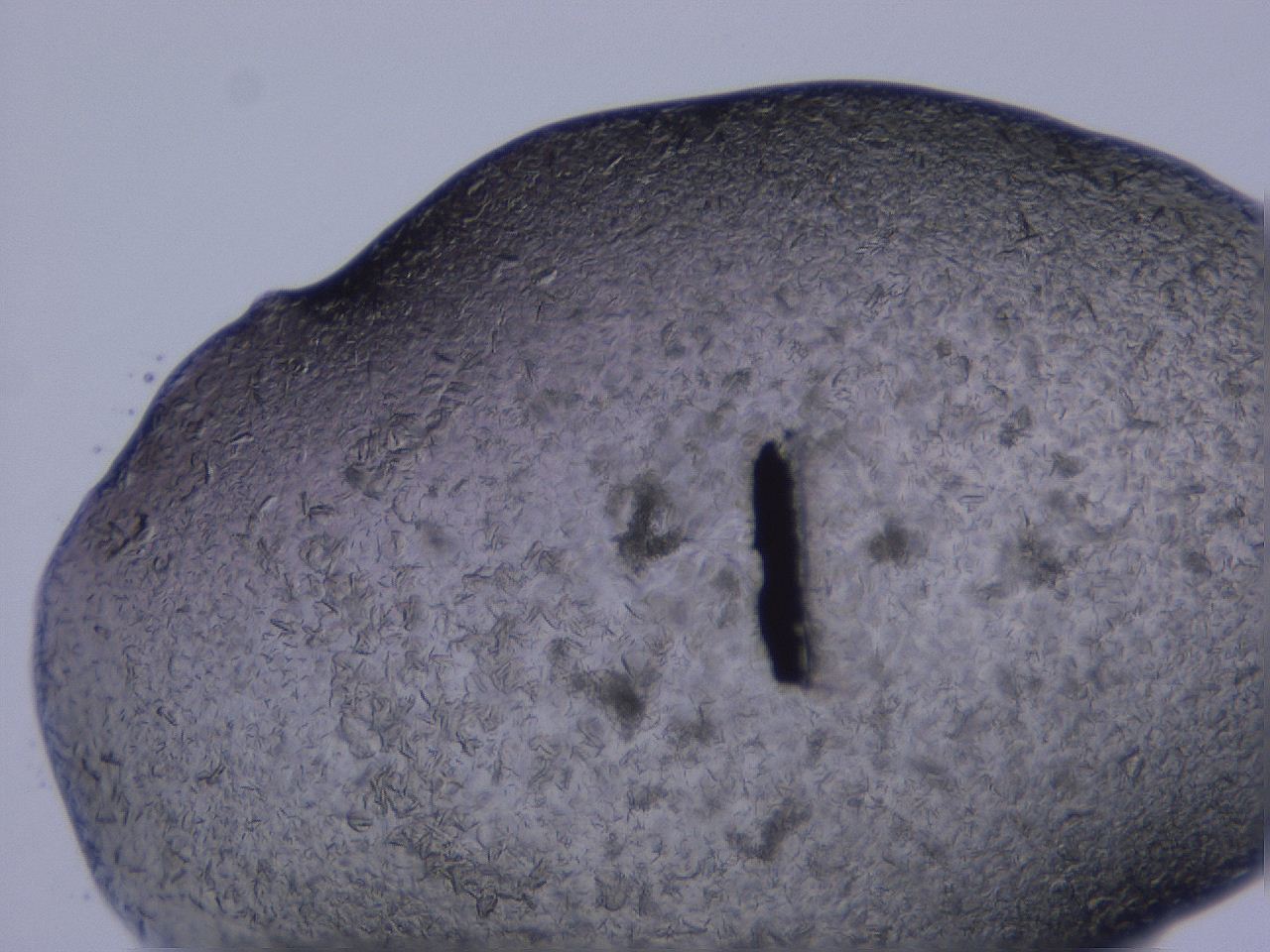 04gh_C1_ImagerDefaults_9.jpg