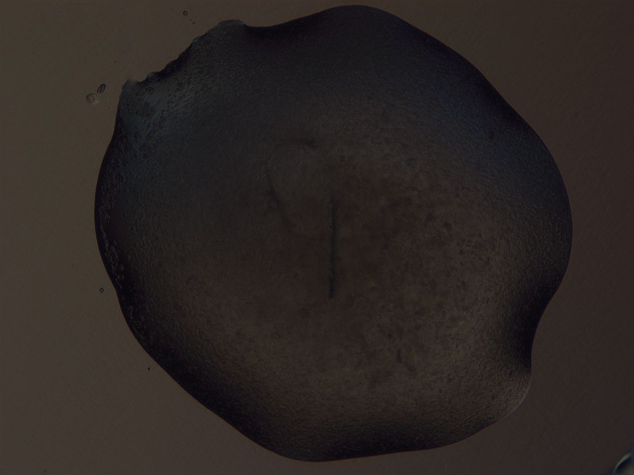 04gh_A1_ImagerDefaults_6.jpg