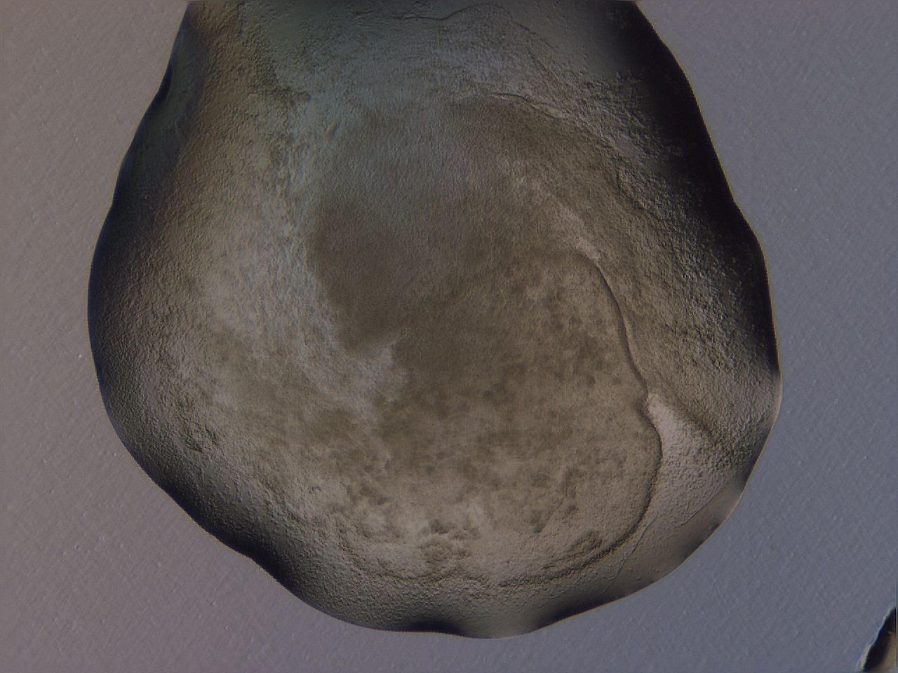 04gh_A2_ImagerDefaults_3.jpg