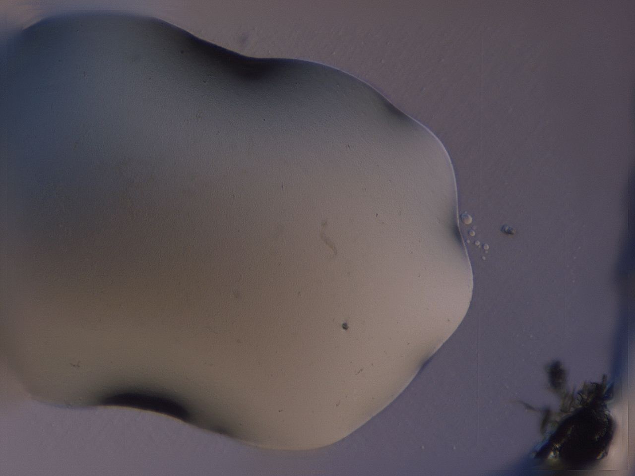 04gh_A4_ImagerDefaults_0.jpg