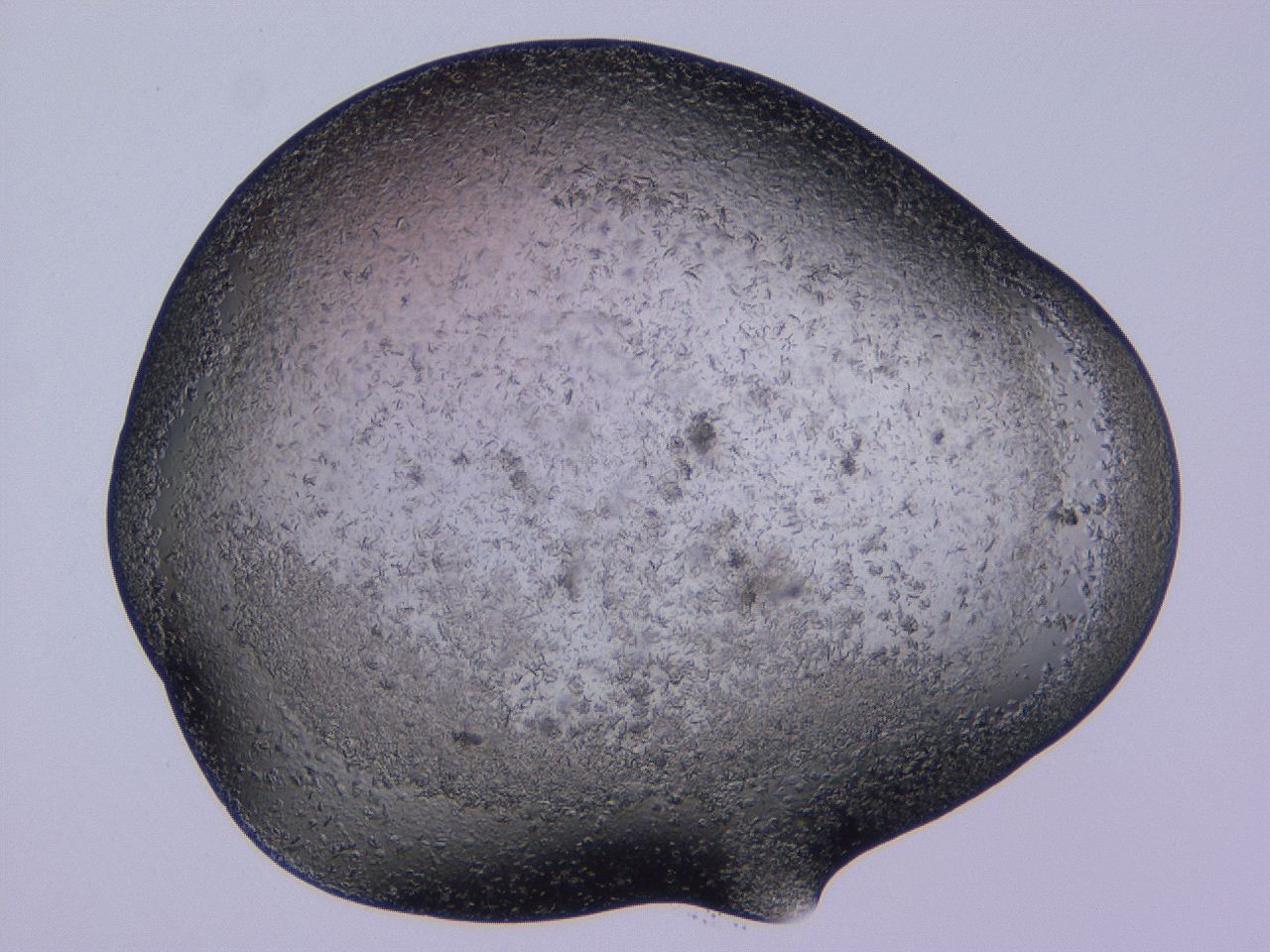 04gh_C5_ImagerDefaults_9.jpg