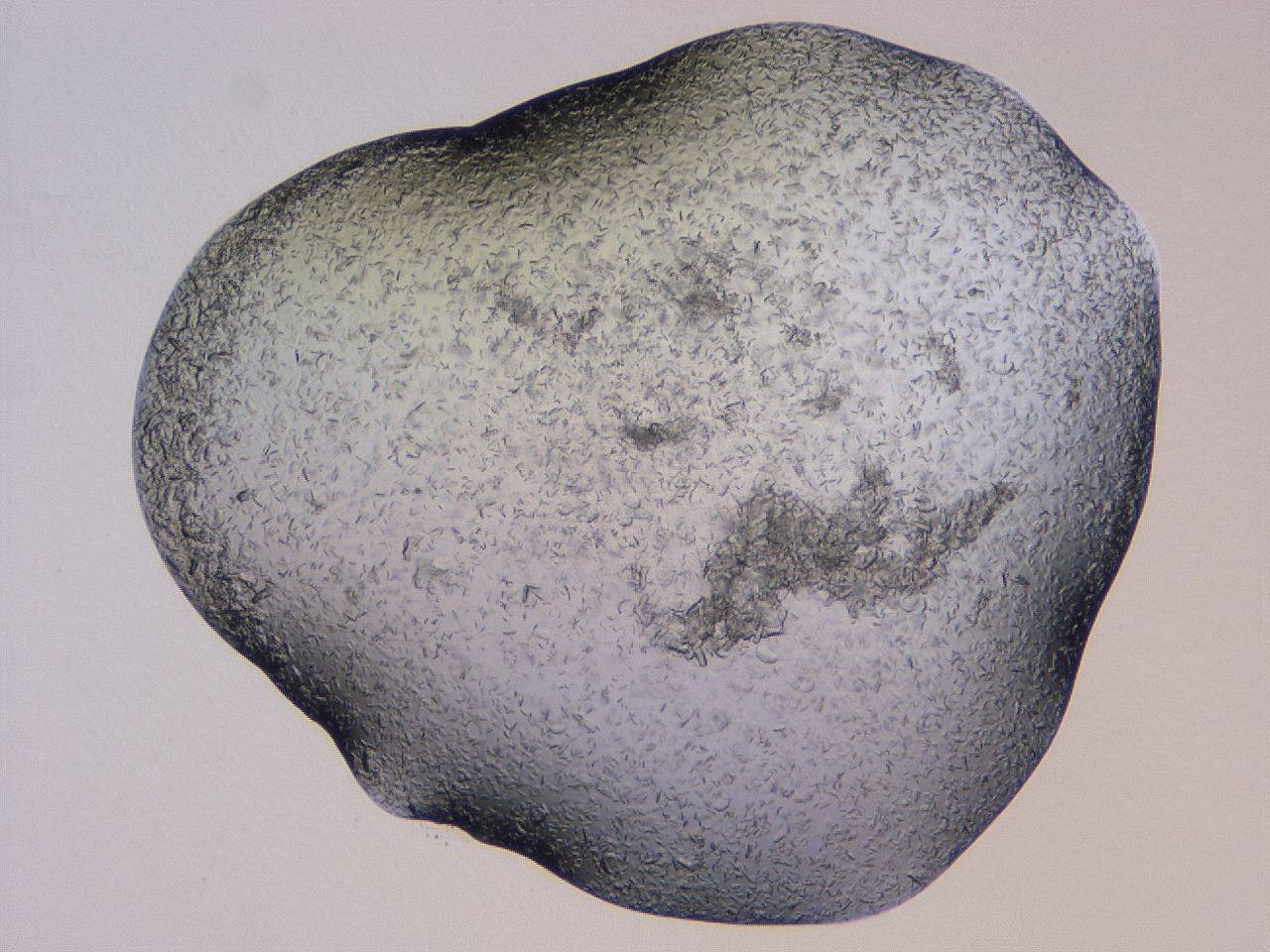 04gh_C6_ImagerDefaults_6.jpg
