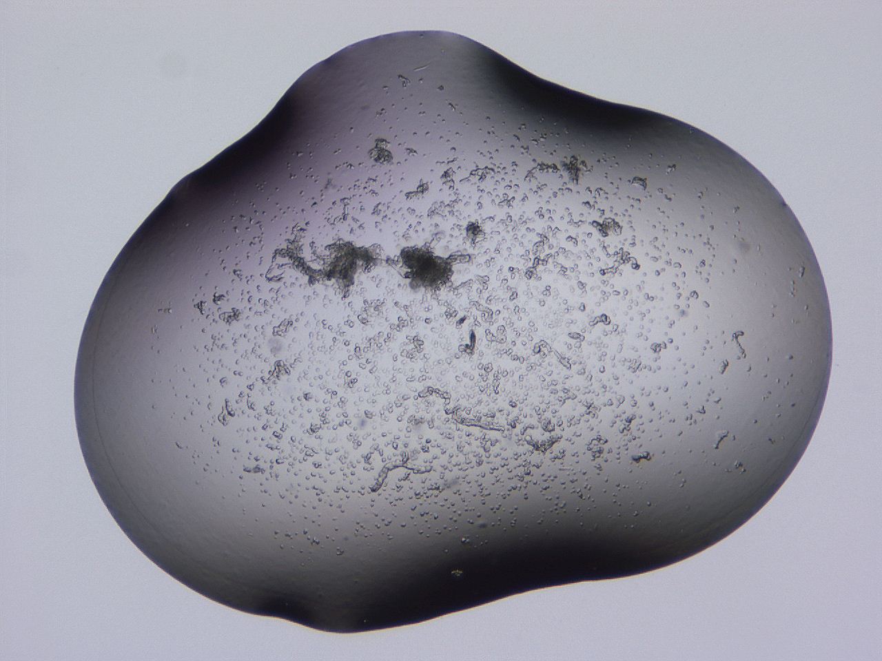 04gh_C9_ImagerDefaults_3.jpg