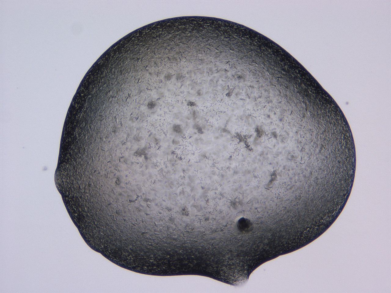 04gh_C11_ImagerDefaults_9.jpg
