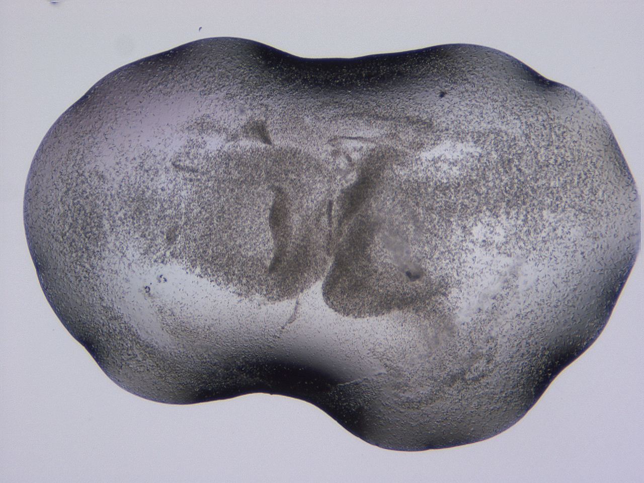 04gh_C12_ImagerDefaults_3.jpg